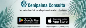 Cenipalma Consulta: aplicación móvil