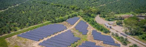 Gremca registra una huella de carbono de -39 kg de CO₂e por cada tonelada de aceite producida