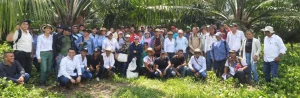 Cenipalma continúa impulsando la transferencia de conocimiento sobre el híbrido OxG con productores de la Zona Norte