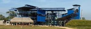 Agrolamata arranca sus operaciones para impulsar el crecimiento palmero en el sur del Cesar