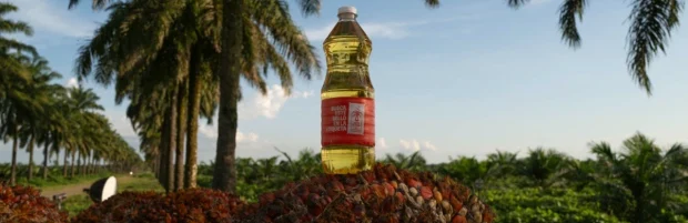 Aceite de palma 100% colombiano