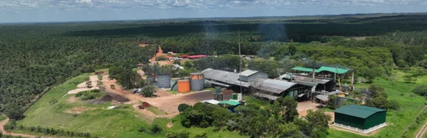 Empresas de la Zona Oriental avanzan en certificación para impulsar combustibles sostenibles de aviación